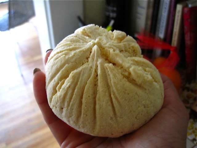 I am a big ball of paneer and I am BEAUTIFUL.